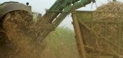 Cana/NovaBio: redução das chuvas permite estabilizar moagem no norte e nordeste