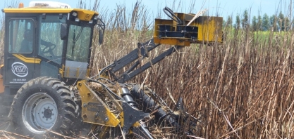 Primeiro ATR da safra 23/24 tem variação de - 2,7%