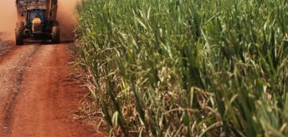 Produção de açúcar do centro-sul pode ter recorde na safra 2024/25