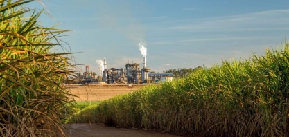 Para onde vai o açúcar? Com preço alto, exportações testam limite