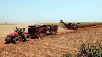 Usinas brasileiras vão prolongar moagem de cana 2023/24 para lidar com safra recorde