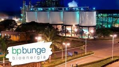 BP Bunge destaca importância do etanol na transição energética em debate promovido pela Britcham