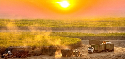 Mais cana na safra 2023/24 no Centro-Sul