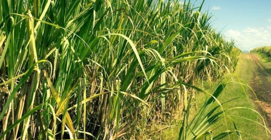 Imagem ilustrativa - Foto: Reprodução