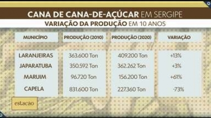 Estudo aponta queda na produção de cana-de-açúcar em Sergipe 