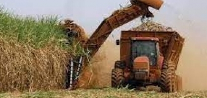 IEA/APTA: balança comercial do agronegócio paulista tem superávit de US$ 16,62 bilhões de jan a set