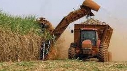 IEA/APTA: balança comercial do agronegócio paulista tem superávit de US$ 16,62 bilhões de jan a set