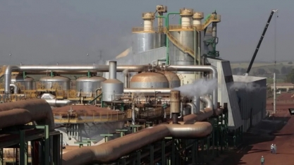 Descumprimento de metas de Cbios de 2022 é constrangedor, afirma Unica