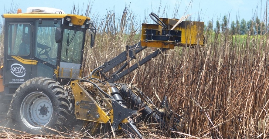 Safra de cana - Foto: Assessoria