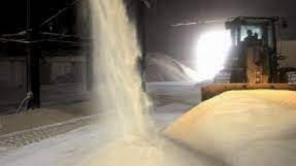 Commodities/NY: café, cacau e suco de laranja subiram ontem; açúcar e algodão caíram