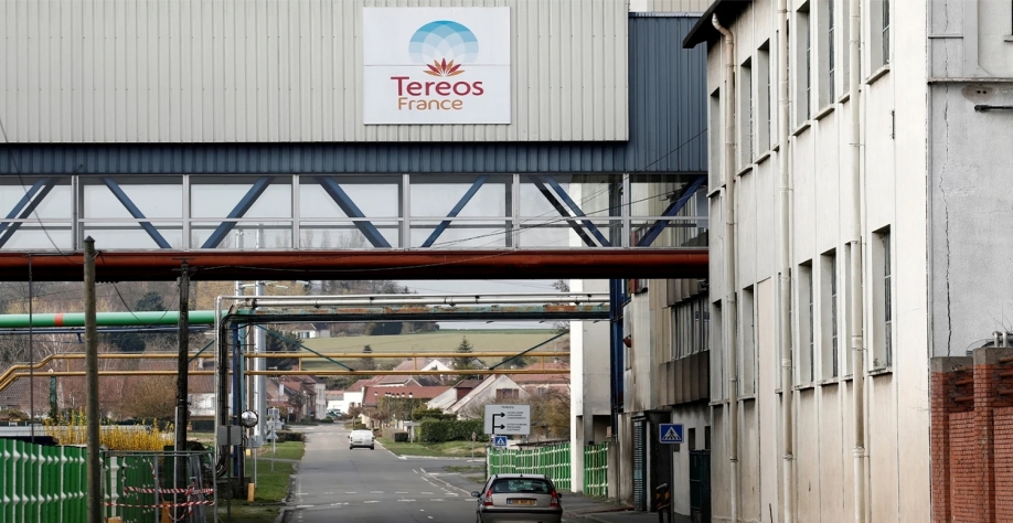 O excesso de chuvas prejudicou a colheita de beterraba sacarina, matéria-prima utilizada nas usinas do grupo Tereos