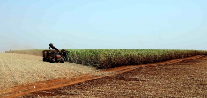 Moagem de cana da Raízen pode ir a 85 milhões de toneladas em 2023/24, com 