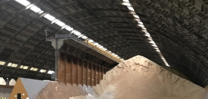 Sindaçúcar-AL: produção de açúcar na safra 23/24 já supera meio milhão de toneladas