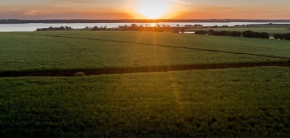 Jornada ESG orienta desenvolvimento sustentável da BP Bunge