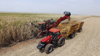 Exportações do agro em São Paulo acumulam superávit de US$ 18,5 bilhões no ano