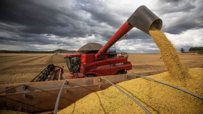 Indústria de óleos vegetais projeta investimento de US$ 10 bi em biocombustíveis