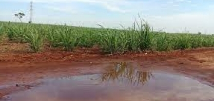 Previsão do tempo da semana: temporais no Centro-Sul, calor no Nordeste e mudança no Norte