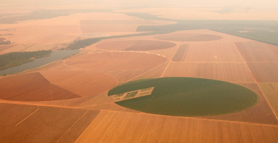 A iniciativa começa com 20 mil hectares de produtores de MG e RS atendidos pela ADM. Paulo Whitaker/Reuters