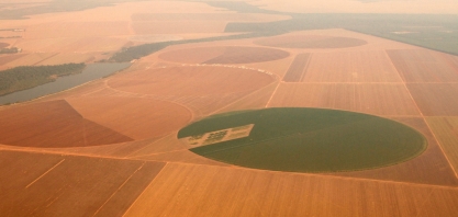 ADM lança programa para apoiar agricultura regenerativa no Brasil