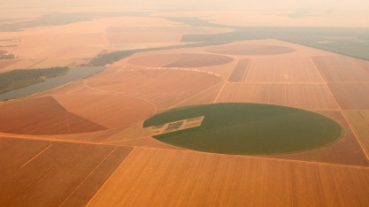 ADM lança programa para apoiar agricultura regenerativa no Brasil