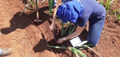 Irrigar é muito mais do que molhar o solo. Tecnologia entrega ampla gama de benefícios. Mas é importante se planejar previamente