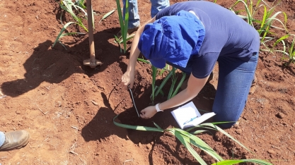 Irrigar é muito mais do que molhar o solo. Tecnologia entrega ampla gama de benefícios. Mas é importante se planejar previamente