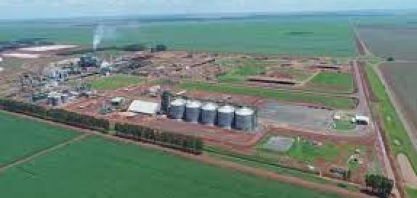 CerradinhoBio: receita acumulada no 1º semestre da safra 2023/24 atinge R$ 1,26 bilhão (-9,4%)