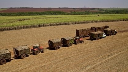 Moagem de cana-de-açúcar atinge 595 milhões de toneladas na região Centro-Sul