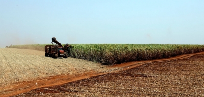 Safra de cana-de-açúcar terá volume recorde em Minas Gerais