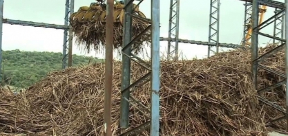 Moagem da cana no No/NE ultrapassa 20,8 mi de toneladas