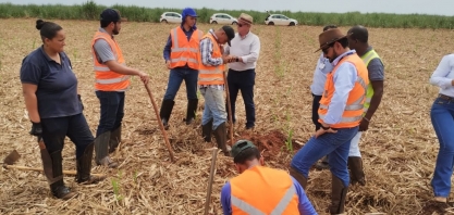 Setor Agrícola participa de treinamento prático de levantamento de pragas