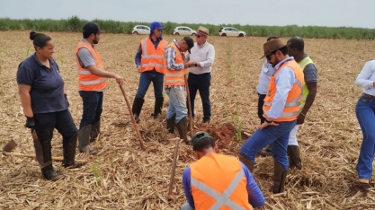 Setor Agrícola participa de treinamento prático de levantamento de pragas
