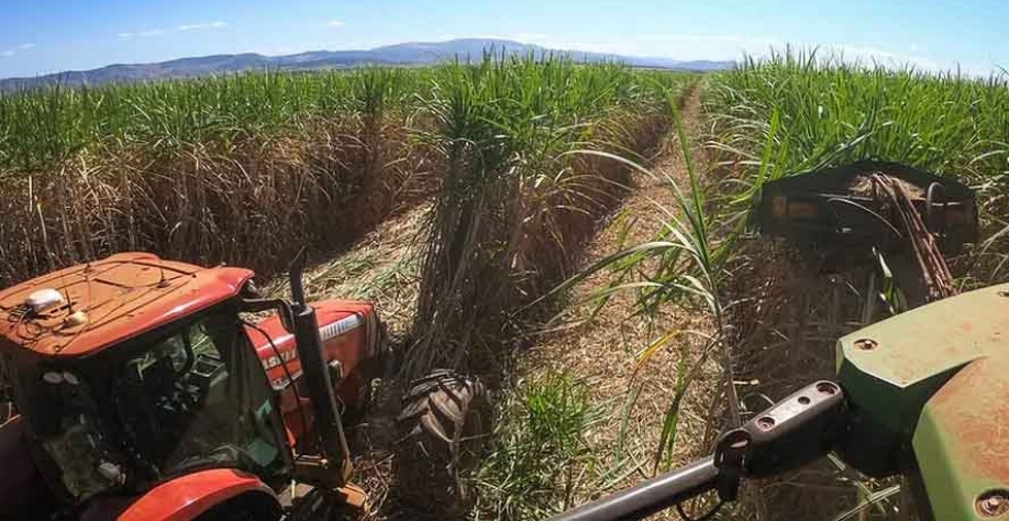 Moagem de cana da safra 2023/24 vai se aproximando do fim — Foto: Wenderson Araujo/CNA