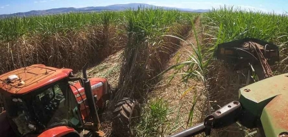 Moagem da cana chega ao fim com queda no preço do etanol e estabilidade no açúcar