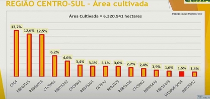 CTC4 é a variedade mais cultivada no Centro-Sul em 2023/24