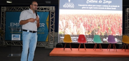 Embrapa mostra o potencial do sorgo para empreendedores em Três Marias
