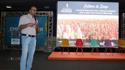 Embrapa mostra o potencial do sorgo para empreendedores em Três Marias