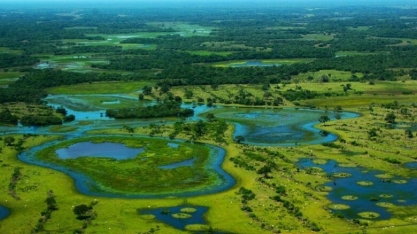 Projeto da Lei Ambiental do Pantanal proíbe lavoura e confinamento bovino