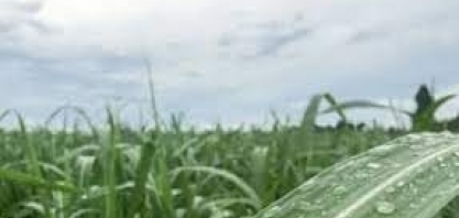 Atenção: chuvas estão previstas no Sul neste feriado