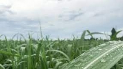 Atenção: chuvas estão previstas no Sul neste feriado