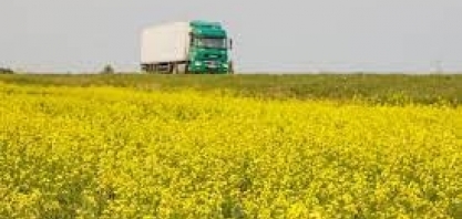 Novo biodiesel promete substituir óleo diesel e descarbonizar caminhões