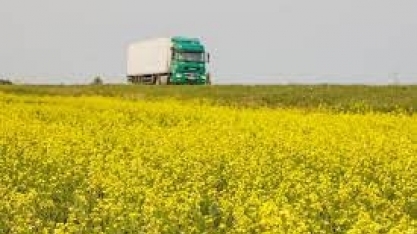 Novo biodiesel promete substituir óleo diesel e descarbonizar caminhões