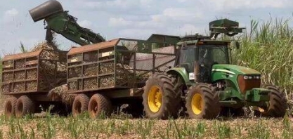 Fim da safra de cana atrasa no Noroeste de SP 