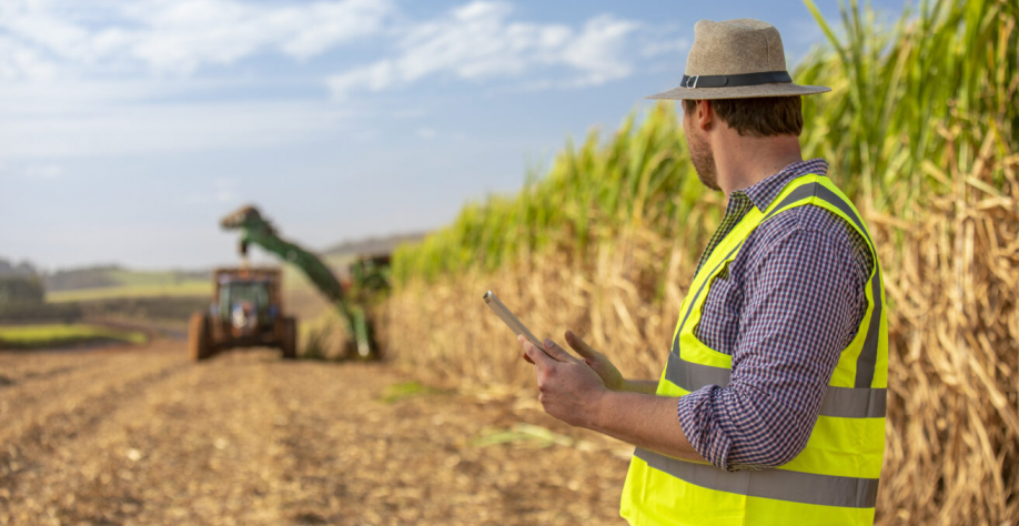  Especialistas de diversas áreas da indústria bioenergética da cana-de-açúcar participaram ativamente da discussão – Créditos: BASF