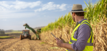 BASF reúne especialistas para impulsionar a produção da cana-de-açúcar no Brasil