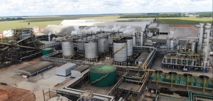 Margem bruta de processamento das usinas de etanol de milho em MT registra queda