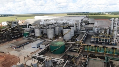 Margem bruta de processamento das usinas de etanol de milho em MT registra queda