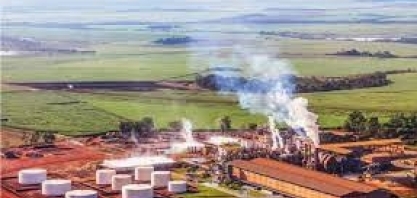 Cana: Jalles anuncia encerramento da moagem 2023/24 com recorde na produção de açúcar