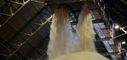 Maior trading global de açúcar alerta para risco de escassez épica no mercado