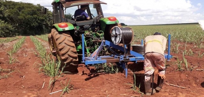 Setor precisa ser proativo, se preparar para as safras mais secas